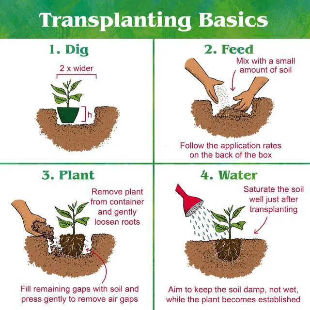 Alt view image 10 of 12 - Organic Acid Mix - Plant Food for Blueberries, Raspberries, Azaleas and Rhododendrons 4-3-6, 25 lb