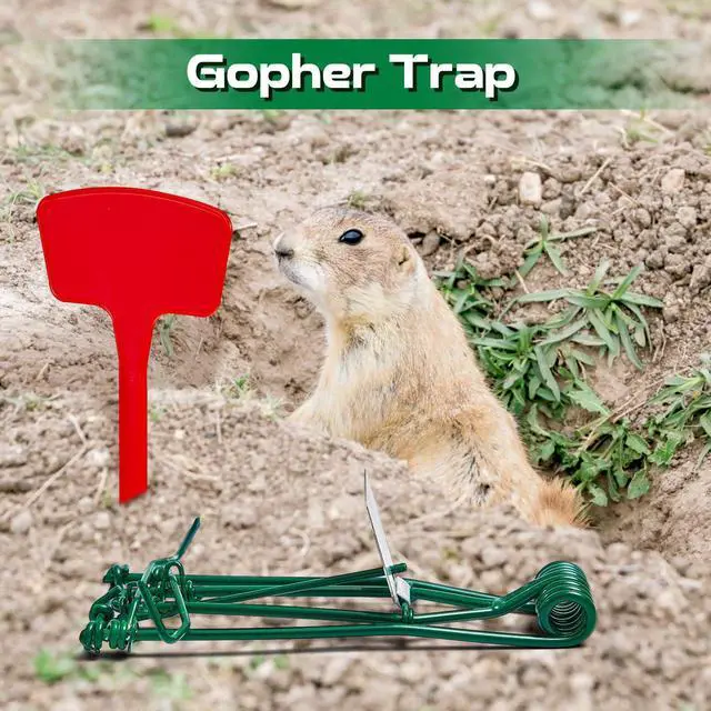 Alt view image 7 of 7 - Outdoor Gopher Trap Easy to Set Mole Trap Bulk Weather Resistant Gopher Killer Vole with Red T Type Labels for Lawn Garden Farm Grass Yard Protection (Green)