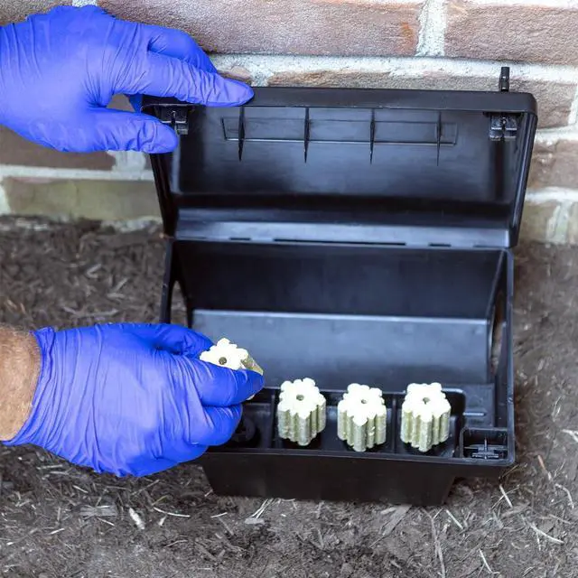 Alt view image 2 of 7 - Rodent Bait Station, Black