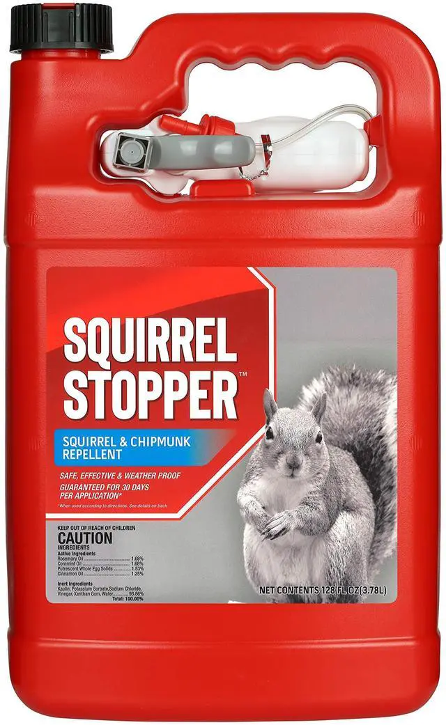 Main image of Squirrel Stopper Repellent Spray - Chipmunk & Squirrel Deterrent for Bird Feeders, Garden & Homes - Weather-Resistant Formula - Scent, Taste & Touch Barrier - Safe Around Kids & Pets - 1 Gallon