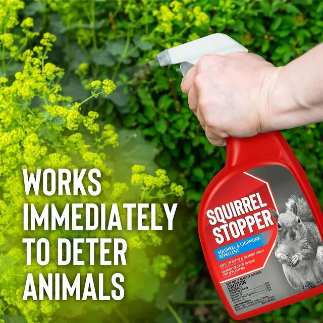 Alt view image 3 of 6 - Squirrel Stopper Repellent Spray - Chipmunk & Squirrel Deterrent for Bird Feeders, Garden & Homes - Weather-Resistant Formula - Scent, Taste & Touch Barrier - Safe Around Kids & Pets - 1 Gallon