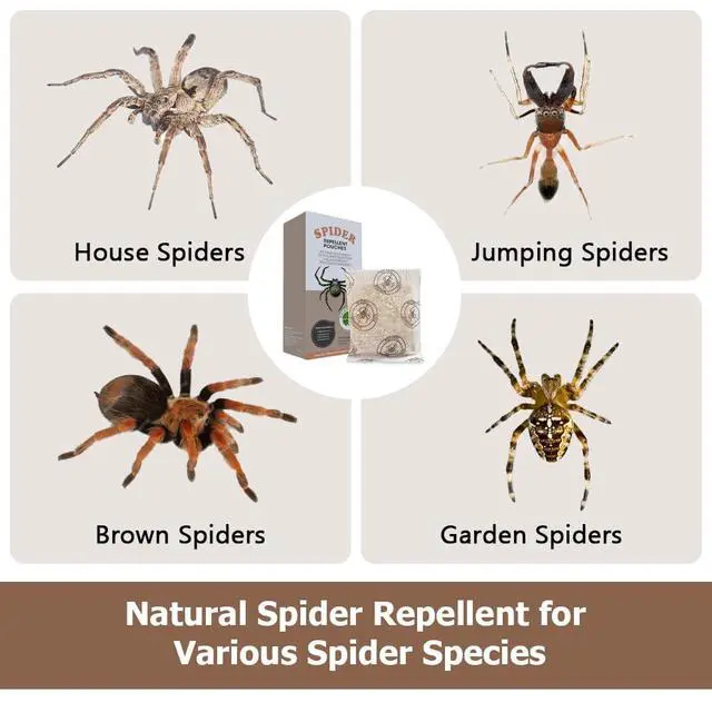 Alt view image 2 of 7 - Effective Spider Repellent for Indoor & Outdoor Pests Protection, Natural Spider Deterrent Indoor Use, Long-Lasting Spider Control for Home, Garage, Basement, and More, Safe & Easy to Use