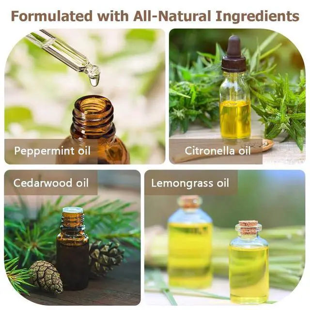 Alt view image 5 of 7 - Effective Spider Repellent for Indoor & Outdoor Pests Protection, Natural Spider Deterrent Indoor Use, Long-Lasting Spider Control for Home, Garage, Basement, and More, Safe & Easy to Use