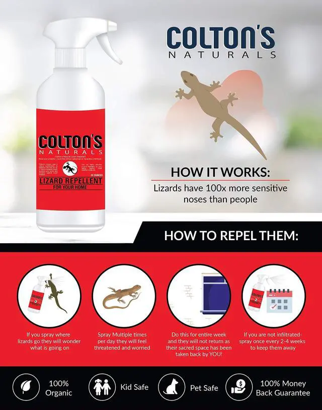 Alt view image 2 of 4 - Lizard Repellent 32 OZ Reptile Deterrent Outdoor or Indoor 100% Natural Spray