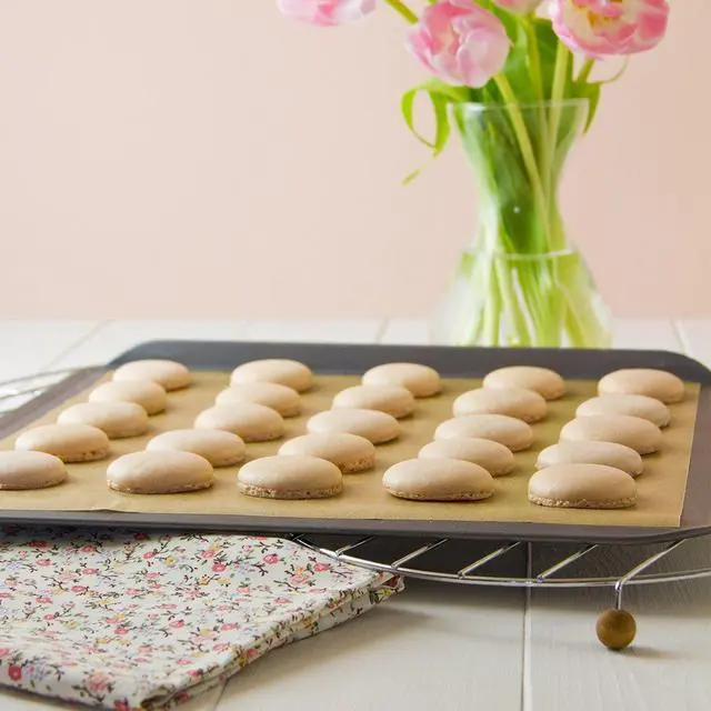 Alt view image 5 of 7 - Baking Sheets Silicone Macarons Baking Mat and PTFE Oven Liner 1 Pcs Each Non Stick Baking Mats for Dehydrator Sheets Total Pack of 2