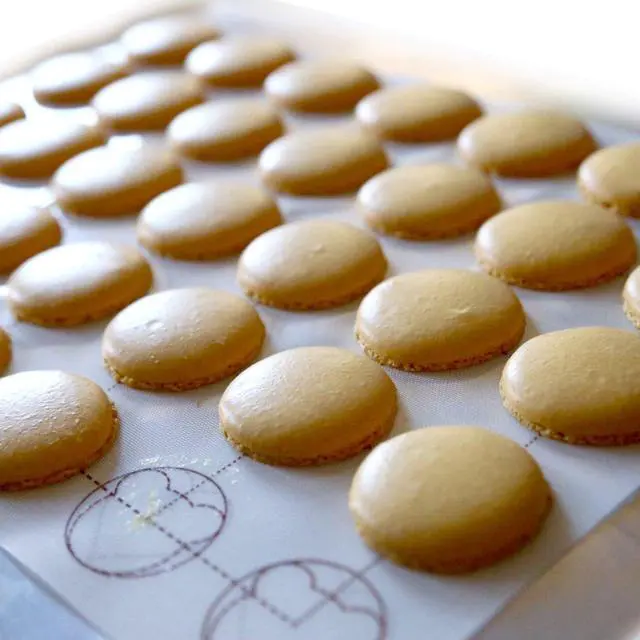 Alt view image 7 of 7 - Baking Sheets Silicone Macarons Baking Mat and PTFE Oven Liner 1 Pcs Each Non Stick Baking Mats for Dehydrator Sheets Total Pack of 2