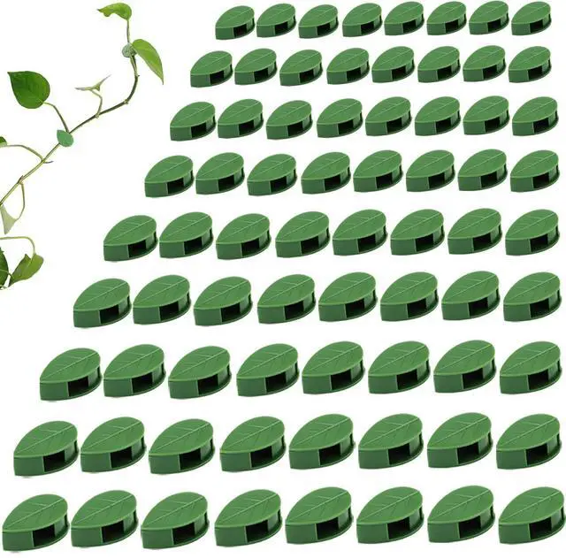 Main image of Plant Climbing Wall Fixture Clips, Plant Fixer Invisible Wall Vines Fixing Clips with 72 Pcs Acrylic Adhesive Sticker, Self-Adhesive Hook Plant Vine Support Holder