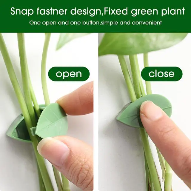 Alt view image 2 of 6 - Plant Climbing Wall Fixture Clips, Plant Fixer Invisible Wall Vines Fixing Clips with 72 Pcs Acrylic Adhesive Sticker, Self-Adhesive Hook Plant Vine Support Holder