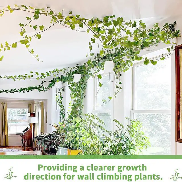 Alt view image 6 of 6 - Plant Climbing Wall Fixture Clips, Plant Fixer Invisible Wall Vines Fixing Clips with 72 Pcs Acrylic Adhesive Sticker, Self-Adhesive Hook Plant Vine Support Holder
