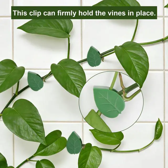 Alt view image 3 of 7 - Plant Wall Clips with 72 Pieces Acrylic Adhesive Sticker - Plant Climbing Wall Fixture Clips Plant Fixer Invisible Wall Vines Fixing Clips Self-Adhesive Hook Plant Clips
