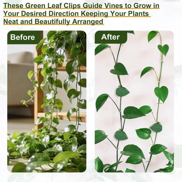 Alt view image 4 of 7 - Plant Wall Clips with 72 Pieces Acrylic Adhesive Sticker - Plant Climbing Wall Fixture Clips Plant Fixer Invisible Wall Vines Fixing Clips Self-Adhesive Hook Plant Clips