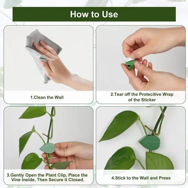 Alt view image 5 of 7 - Plant Wall Clips with 72 Pieces Acrylic Adhesive Sticker - Plant Climbing Wall Fixture Clips Plant Fixer Invisible Wall Vines Fixing Clips Self-Adhesive Hook Plant Clips