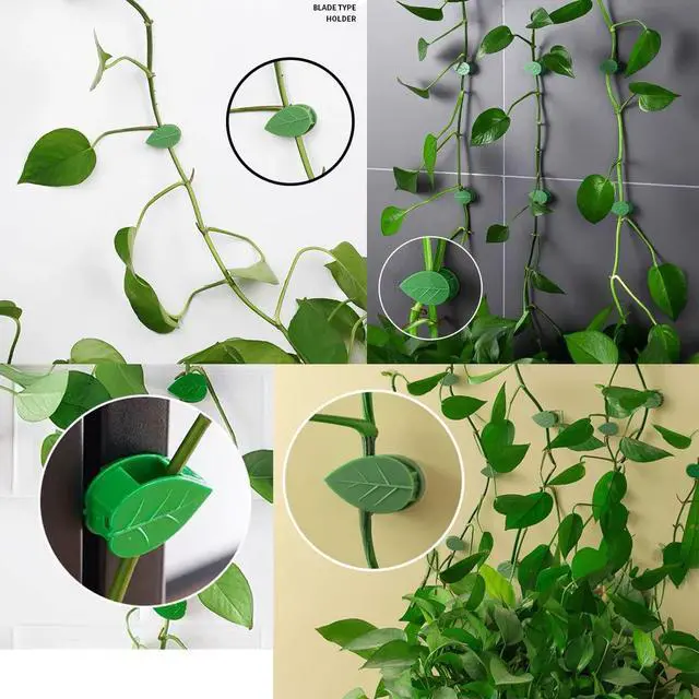Alt view image 2 of 6 - Pieces Plant Climbing Wall Fixture Clips Self-Adhesive Plant Fixer Invisible Wall Vines Fixing Clips Hook Plant Vine Traction Cable Wire Fixing