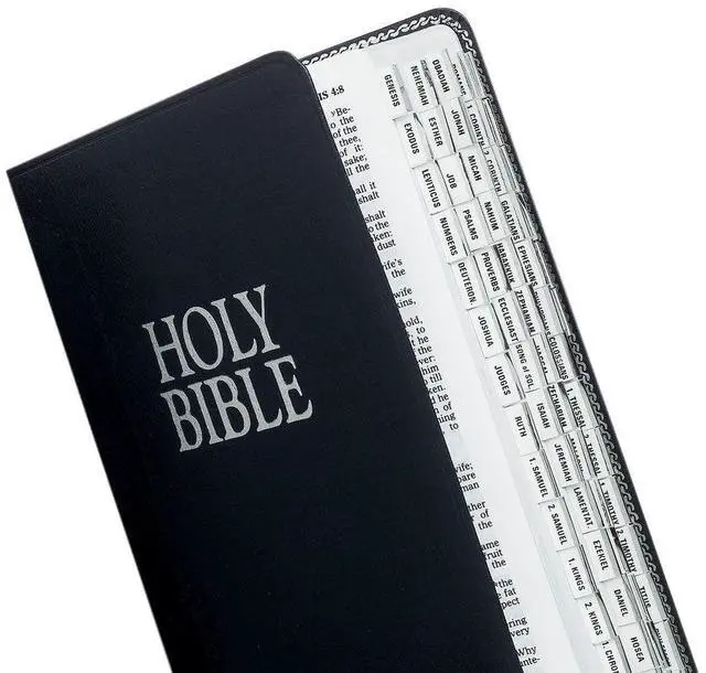 Main image of Mini Silver-Edged Bible Tabs, Old & New Testament, 80 Self-Adhesive Mini Index Tabs, Easy-to-Read Book Labels for Compact Study Bibles, Women & Men, 64 Books & 16 References, Positioning Guide