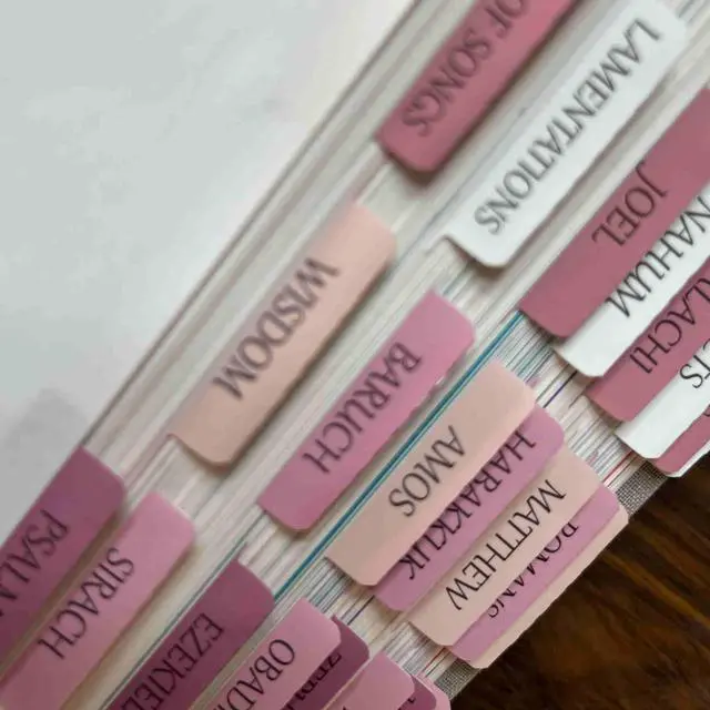 Alt view image 5 of 6 - Pink Repositionable Bible Tabs for Women, Laminated Large Print Stickers, Easy to Read and Apply, Fits Standard and Catholic Bibles