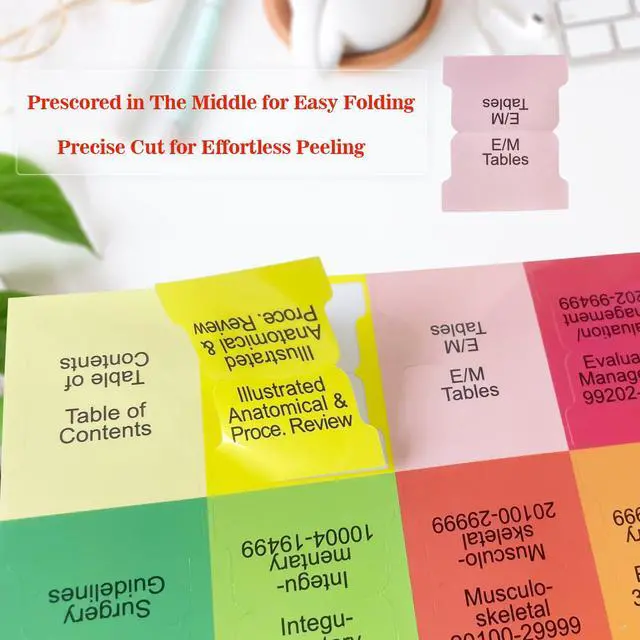 Alt view image 7 of 7 - Tabs for CPT, AAPC Version ICD-10-CM & HCPCS Level II 2026, 3 Set Bundle, Complete Book Tabs Set (Book not Included), Color-Coded with Code Ranges, Laminated & Waterproof & Repositionable