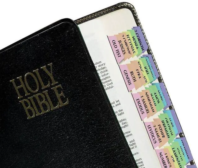 Main image of Rainbow Catholic Bible Tabs, Old & New Testament + Catholic Books, 90 Self-Adhesive Bible Index Tabs, Easy-to-Read Book Labels for Study Bibles, 71 Books & 19 References, Positioning Guide