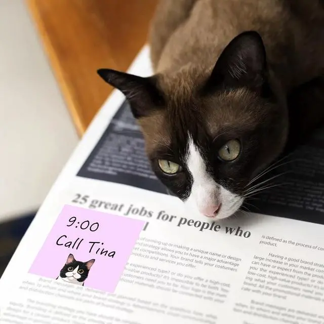 Alt view image 6 of 7 - 9 Pads Cute Sticky Notes Set, 3" x 3" Black Cat Self Stick Notepads, Funny Sticky Notes Set, Cat Stationery, Kawaii Adhesive Memo Pads, Cat Lover Gifts, Office Decor Desk Accessories, School Supplies