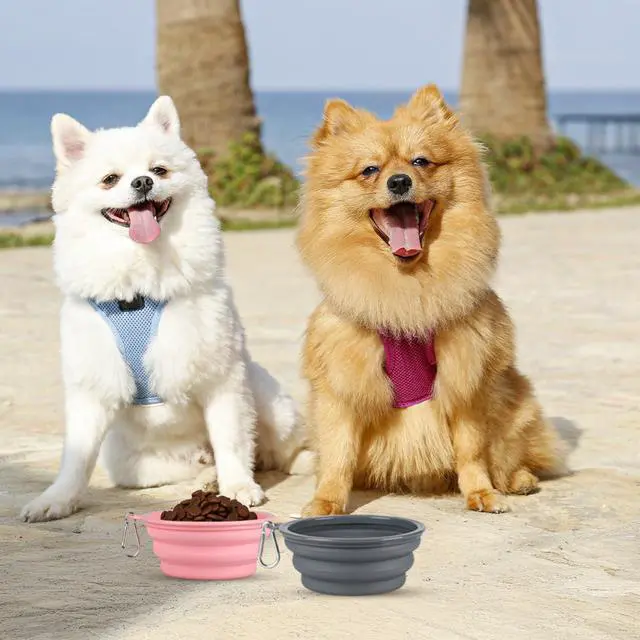 Alt view image 6 of 7 - Collapsible Dog Bowls for Travel, 2Pack Dog Portable Water Bowl, Foldable Pet Food Bowl with Clasp, Pet Cat Feeding Cup Dish for Traveling, Walking, Hiking