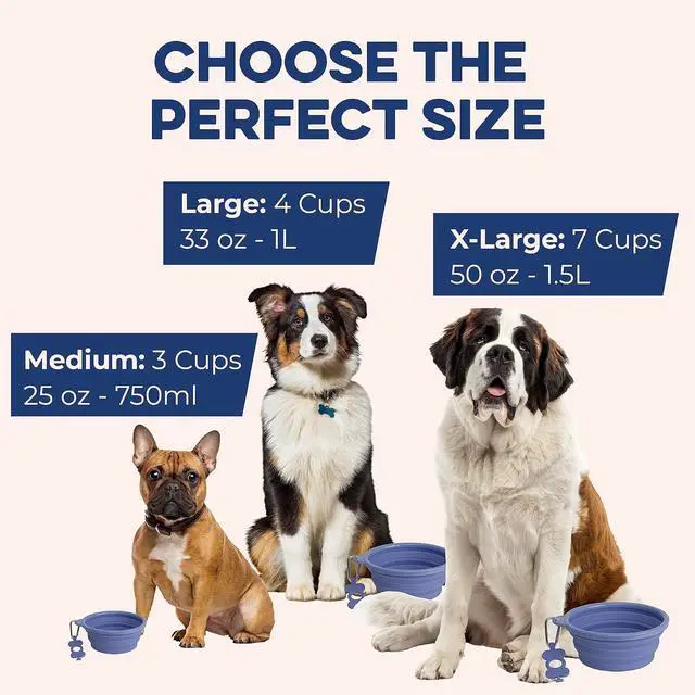 Alt view image 3 of 7 - Collapsible Dog Bowls - Small 12 oz, Dog Travel Accessories, Silicone Portable Dogs Bowl & Water Dish with Reinforced Rim & Carabiner for Hiking, Camping, and Car Trips, Black
