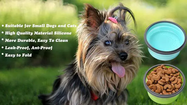 Alt view image 6 of 7 - Collapsible Dog Bowls with Lids, 2 Pack Travel Dog Bowls for Small Size Dogs, Silicone Portable Dog Food Bowls Water Cup Cat Bowls Dish for Camping Traveling Walking, 12 oz 350ml