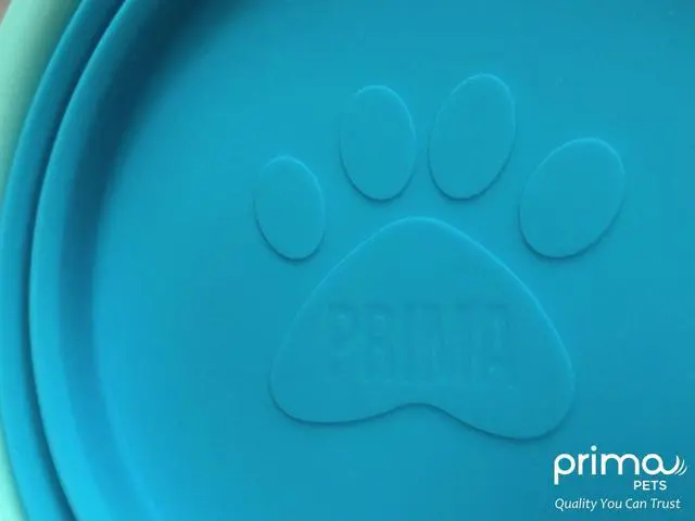 Alt view image 7 of 7 - Collapsible Silicone Food & Water Travel Bowl with Clip for Small & Medium Dog and Cat, Size: 1.5 Cups (5.1 Inch Diameter Bowl) (AQUA)