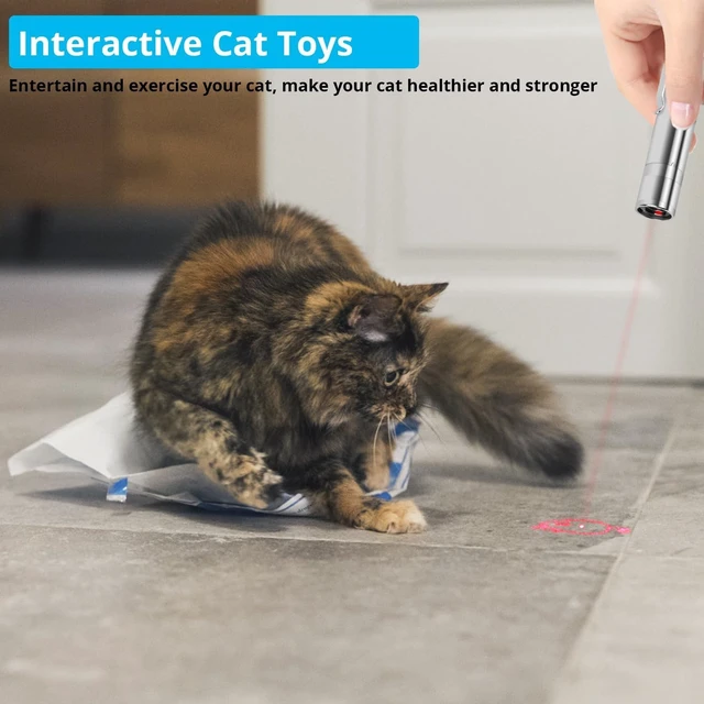 Alt view image 7 of 7 - Cat Toy, USB Rechargeable, 3 Light Modes, 5 Fun Patterns, Indoor | Interactive Chase Toy, Automatic Training & Exercise Fun, Kitten Toy for Indoor Cats & Dogs