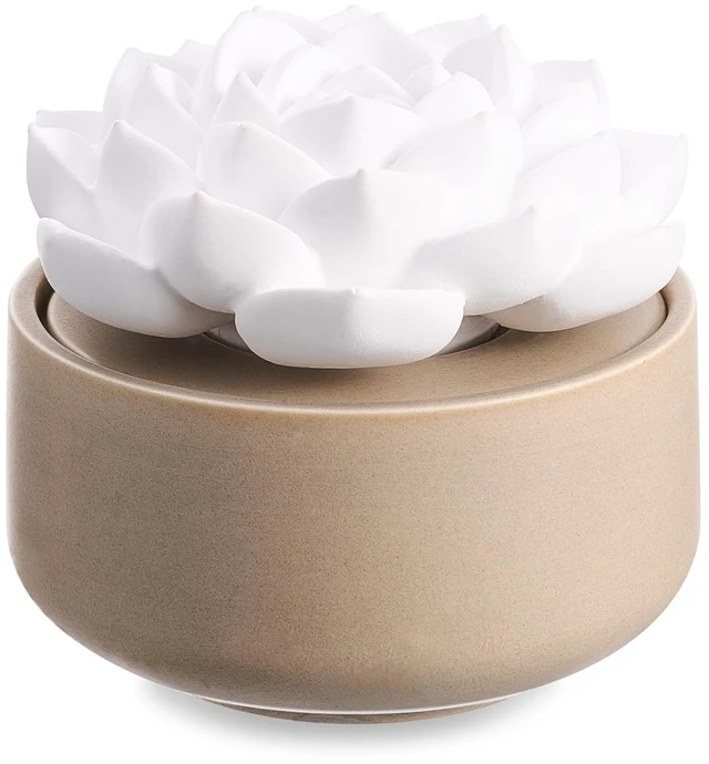 Main image of 1 Pcs Ceramic Essential Oil Diffuser, Non Electric,Succulent | Decorative Floral Home Fragrance Decor, No Noise, Home & Office Tabletop Decor for Desk, Bathroom, Bedroom, Birthday, Wedding