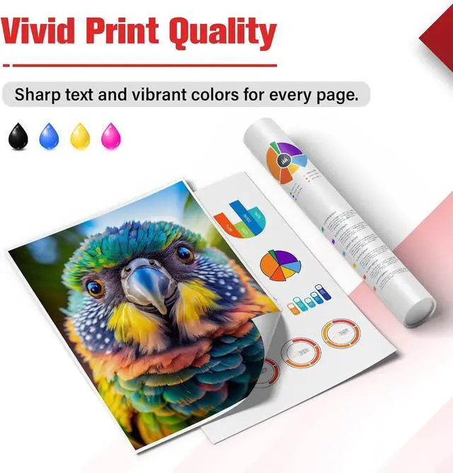 Alt view image 5 of 7 - 245XL 246XL Combo Pack Ink 245 and 246 for Canon Printer MG2522 MX490 Replacement for Canon Pixma MX492 TS3322 TR4520 TR4500 TS3122 PG-245XL CL-246XL PG245 CL246 (2 Pack Black Tri-Color)