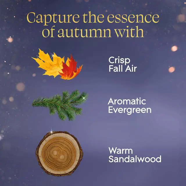 Alt view image 3 of 7 - PlugIns Scented Oil 5 Refills, Air Freshener, Fall Night Long, 3.35 fl oz, Pack of 5