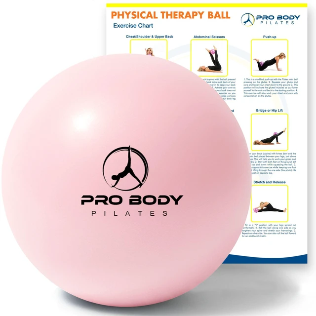 Main image of Ball Small - 9 Inch Physical Therapy Ball (Rose) | PT-Grade Anti-Burst PVC, Between-Knees Stability, Postpartum & Rehab, Small Exercise Ball, Inflator