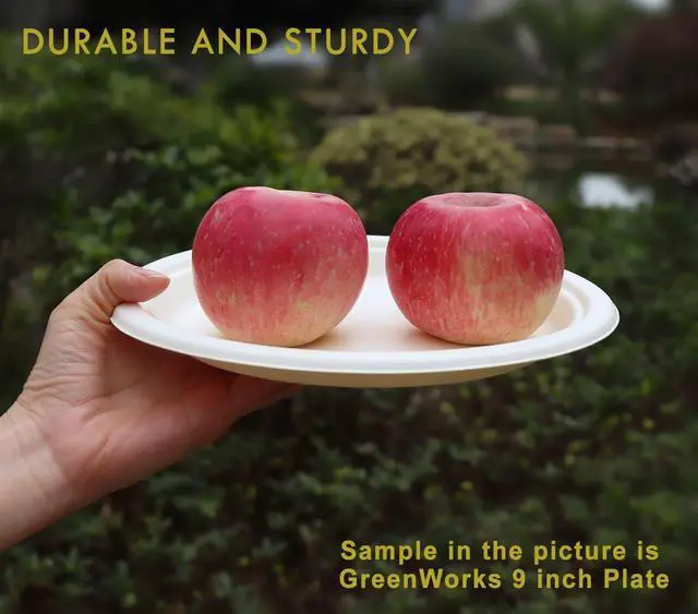 Alt view image 3 of 6 - 200 Count 6 Small Compostable Dessert Plates, Heavy-duty Unbleached Biodegradable Bagasse and Bamboo fiber Paper Plates
