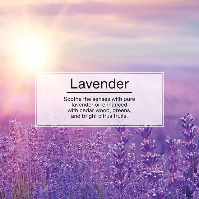 Alt view image 4 of 5 - Hanging Car and Home Air Freshener, Lavender Scent, 3 Pack