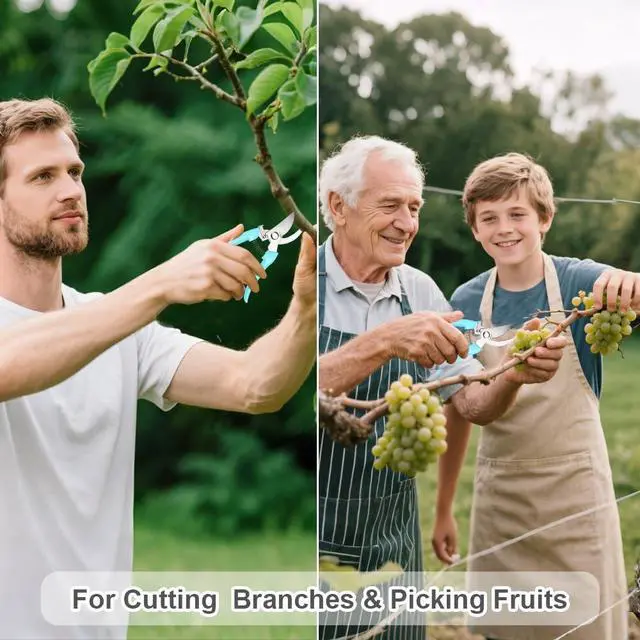 Alt view image 5 of 7 - 2 Pack Pruning Shears, Stainless Steel Sharp Blade, for Home Gardeners | Safety LockErgonomic Handle, Easy Use for Seniors , Perfect for Herbs, Flowers, Bonsai