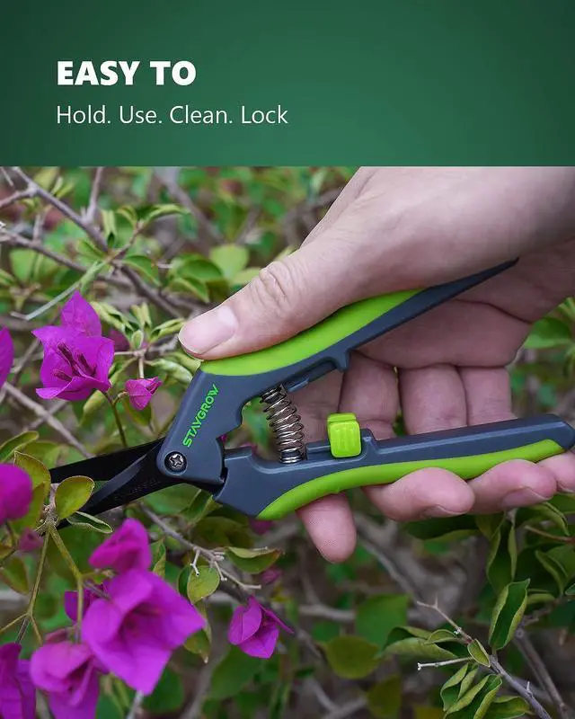 Alt view image 3 of 6 - 6.5" Straight Pruning Shears for Gardening Plant Trimming Scissors | Sharp Plant Snips for Precise Cuts, Stainless Steel Garden Scissors Bonsai Clippers Garden Pruner Shears (1-Pack Straight)