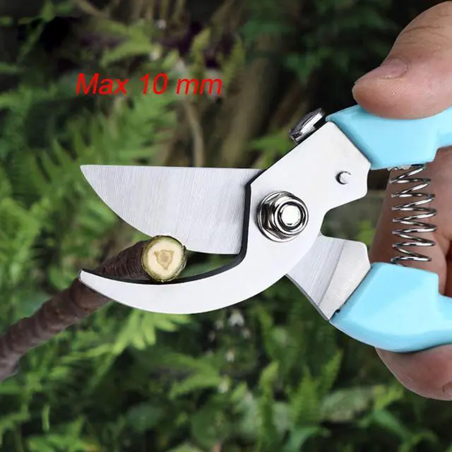 Alt view image 3 of 6 - Curve Gardening Scissor with Sharp Stainless Steel Blade Garden Shears for Cutting Flowers Trimming Plants of Yard Florist Flower Rose Herb Hedge Bonsai and Fruits Picking (Black Handle)