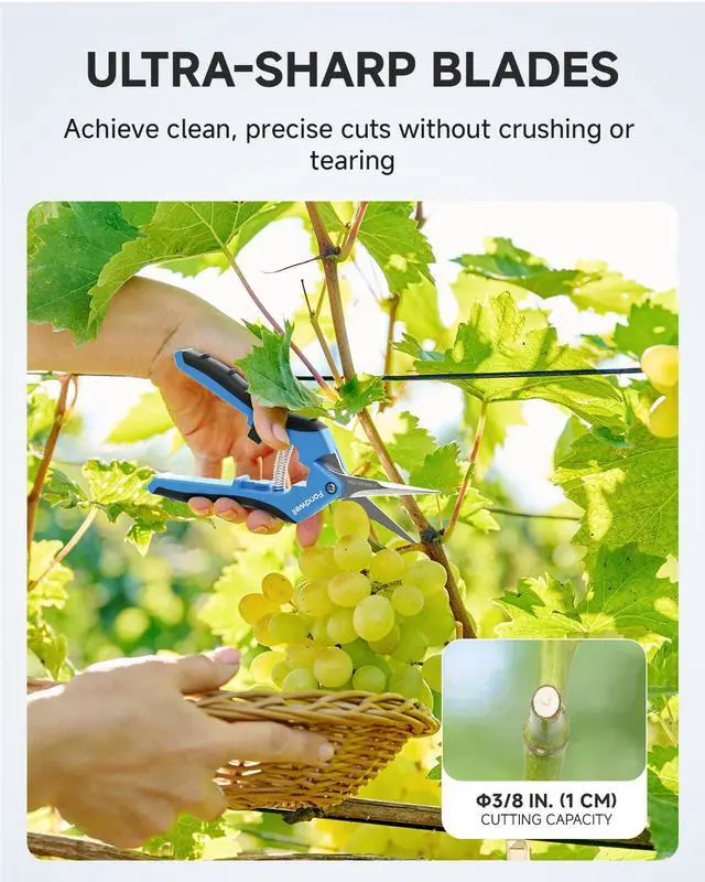 Alt view image 3 of 7 - 2-Pack 6.5" Precision Pruning Shears for Gardening Trim Scissors | Plant Garden Snips, Ultra-Sharp Micro-Tip Straight & Curved Blades, Fatigue-Free - for Flower, Bonsai, Detailed Gardening
