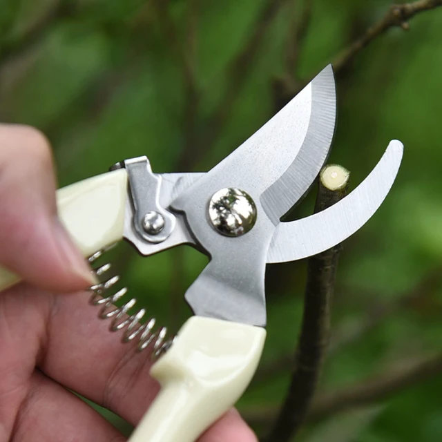 Alt view image 2 of 7 - Garden Scissors for Plant, Tip Pruning Shears for Cutting Flowers, Trimming Plants, Bonsai and Fruits Picking (Bypass Blade Pruner)
