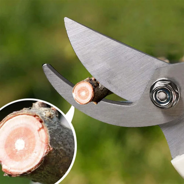 Alt view image 5 of 6 - Bypass Garden Pruning Shears - 2 Pack, Ultra Lightweight Hand Pruners Make Cut Smooth & Clean, Professional Gardening Scissors for Cutting Live Flowers, Plants, Light Branches