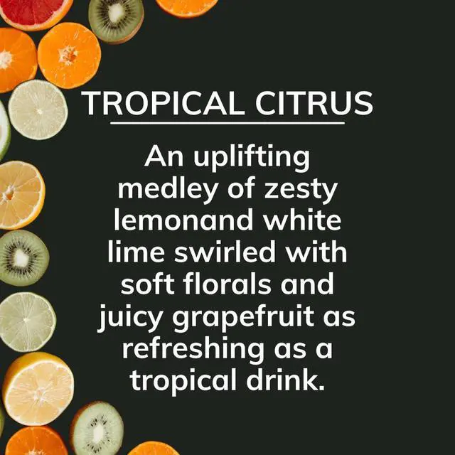 Alt view image 3 of 6 - Auto Solid Air Fresheners, Tropical Citrus, 8 oz | On the Go Freshness for Cars, Odor Absorbing, Passive Diffusion, Odor Elimination Up to 4 Weeks Each