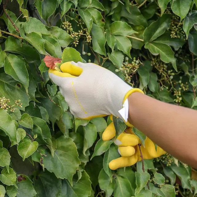 Alt view image 5 of 7 - 3 Pairs Garden Gloves for Women, Womens Gardening Gloves, S | Breathable Latex Free Nitrile Coated Ladies Yard Working Gloves, for Gardening, Landscaping, Weeding, Pruning, Gardener Gift