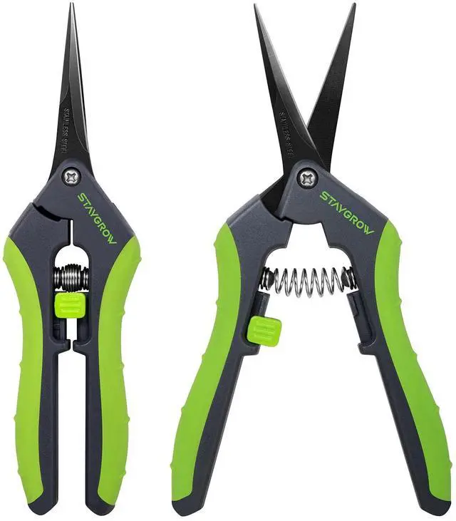 Main image of 2pcs 6.5" Pruning Shears for Gardening Ultra Sharp Garden Scissors | Plant Snips for Precise Cuts, Stainless Steel Bonsai Clippers with Spring Loaded, Garden Shears (1pc Straight & 1pc Curved)