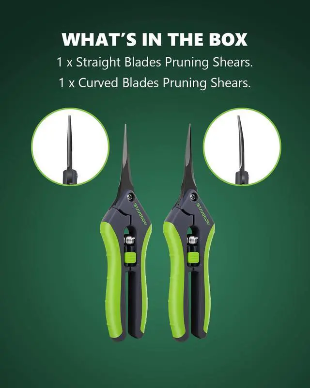 Alt view image 5 of 6 - 2pcs 6.5" Pruning Shears for Gardening Ultra Sharp Garden Scissors | Plant Snips for Precise Cuts, Stainless Steel Bonsai Clippers with Spring Loaded, Garden Shears (1pc Straight & 1pc Curved)