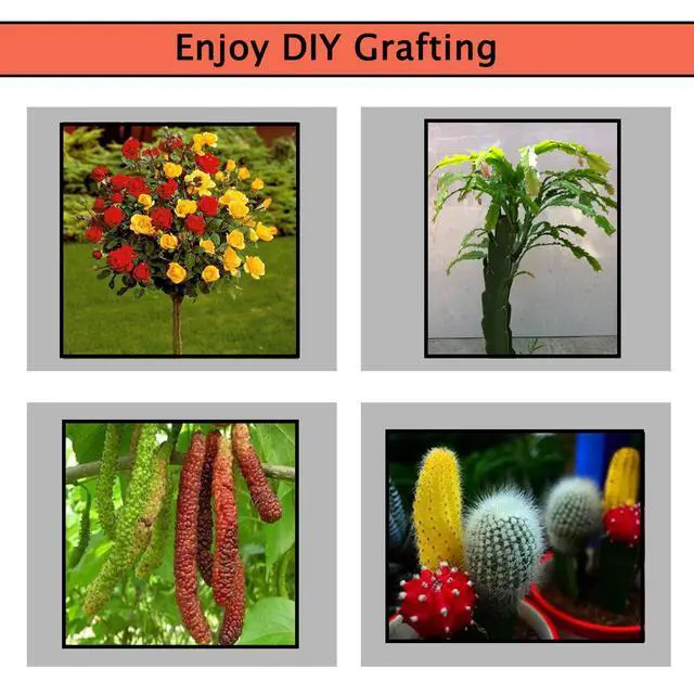 Alt view image 7 of 7 - 2-in-1 Garden Grafting Tools Pruner Kit, V-Graft Omega-Graft and U-Graft, Plant Branch Vine Fruit Tree Cutting Tool Kits Scissors