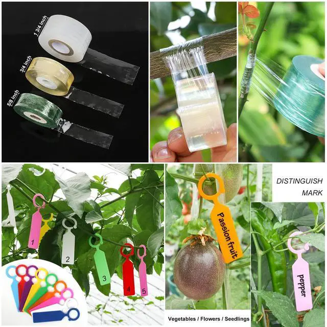 Alt view image 7 of 7 - Upgrage Garden Grafting Tools, 2 in 1 Garden Pruning Tools Including Grafting Knife, Pruning Shears, Replacement Blades Grafting Tapes and Labels for Plant Branch Fruit Tree Cutting Pruner Tool Kits