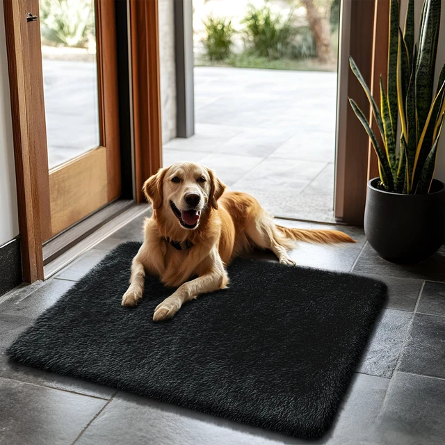 Main image of 2x3 Area Rugs for Bedroom,Black Small Fluffy Shag Rug | Non-Shedding Fuzzy Rug ,Indoor Plush Carpet for Living Room Dorm Home Decor