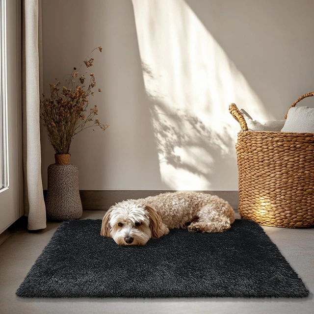 Alt view image 5 of 7 - 2x3 Area Rugs for Bedroom,Black Small Fluffy Shag Rug | Non-Shedding Fuzzy Rug ,Indoor Plush Carpet for Living Room Dorm Home Decor