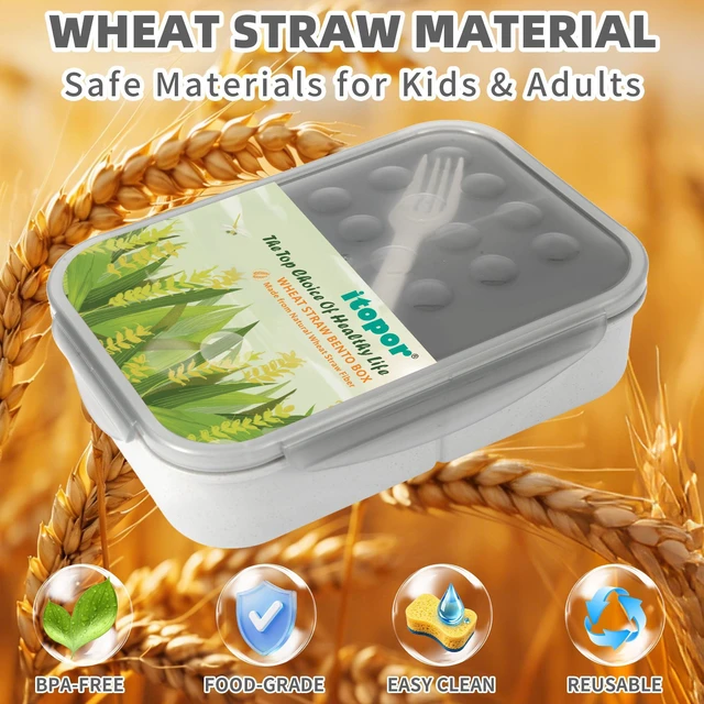 Alt view image 2 of 7 - Bento Lunch Box for Kids & Adults, 46 oz, 3 Compartments, Gray | Wheat Straw, Gray Kids & Adults Bento Lunch Box for School, Office, Travel, Car, Camp, On the Go, Leakproof, Microwave Safe