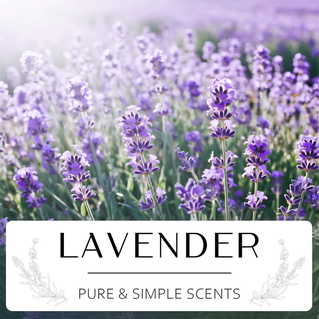 Alt view image 2 of 6 - Lavender Candle, Scented Candles Gift Set, Stress Relief Candles for Home, Premium Soy Candle Set, Candles for Women and Men (Purple, 7 oz)