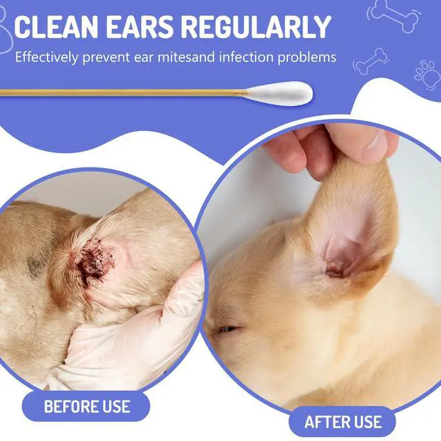 Alt view image 2 of 6 - 200PCS Large Cotton Swabs in Storage Box, 6 Inch Dog Ear Swabs